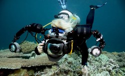 Learn Underwater Photography Course Canary Islands